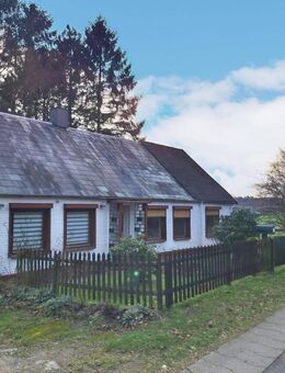 Norderbrarup : Idyllisches Zuhause mit Blick auf Felder und Wiesen - Norderbrarup
