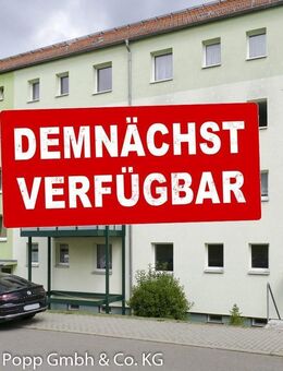 Preishammer! - Greiz