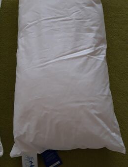 Kopfkissen, ungebraucht, 3 Stück, Maße 80 x 40 cm, waschbar bei 60° - Ehra-Lessien