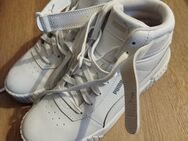 Puma Sneaker high gr 40 weiß - Backnang