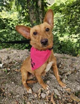 Ruhige Joia - Eichenzell