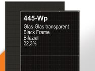 JA Hochleistungssolarmodul 445Wp Bifazial Glas-Glas transparent - Tessin Zentrum