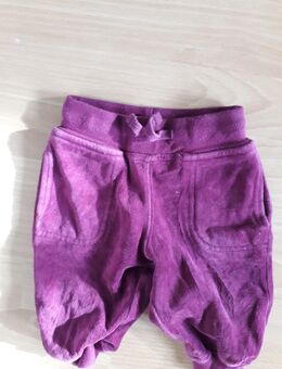 Süse Kuschelhose gr. 74 H&M - Osnabrück