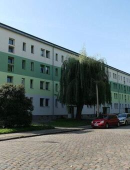 1-Raum-Wohnung mit Dusche - Dessau-Roßlau