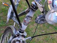 Diana Schweizer Damen Velo CH 28Zoll 3Gang - Volketswil