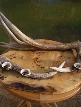 Jagdtrophäe, Tablett mit Hirschgeweih, Originelles Tablett - Dollnstein
