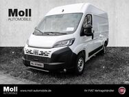 Fiat Ducato, 35 L2 H2 Kawa 180 City Plus-Techno Plus-Visibility Paket, Jahr 2024 - Köln