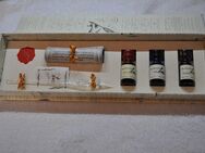 Kalligraphie Set 0398 klar mit Glasschreibfeder und 3 x 10 ml Tinte  in einer Geschenkbox - Aschaffenburg