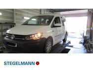 VW Caddy, 1.0 TSI Kombi Trendline, Jahr 2019 - Lemgo