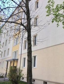 Striesen: Seniorenwohnung mit Wannenbad im Erdgeschoß - Dresden