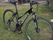 28" Mountainbike zu verkaufen - Sankt Augustin Zentrum