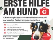 Erste Hilfe am Hund 🐾 - Schweinfurt