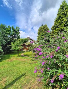 großes Wohnhaus in ruhiger Lage mit tollem Garten und Einliegerwohnung - Kassel