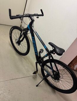 Fahrrad - Worms Zentrum