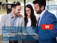 Duales Studium BWL Digital Business Management - Ulm