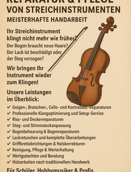 Reparatur & Pflege von Streichinstrumenten - München Trudering-Riem