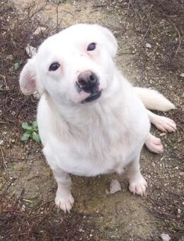 Skyler - Weilmünster