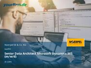 Senior Data Architect Microsoft Dynamics 365 (m/w/d) - Ulm