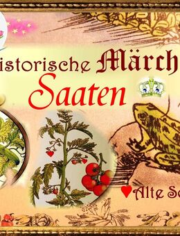 💖Historische Märchen Saaten Tulpenstolz Samen,Geschenk,Alte Sorten,Tomaten,Gurken,Stauden,Blumen,Raritäten,Emely,Lena,Gold - Hamburg