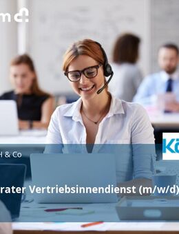 Kundenberater Vertriebsinnendienst (m/w/d) - Karlsruhe