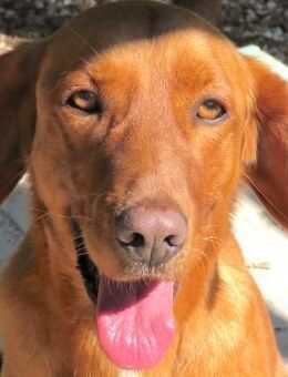 Ian -liebt nicht alle Menschen- - Oldenburg