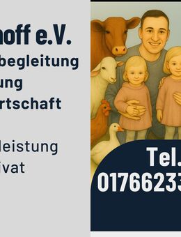 Alltagsbegleitung, Betreuung, Hauswirtschaft - Großefehn