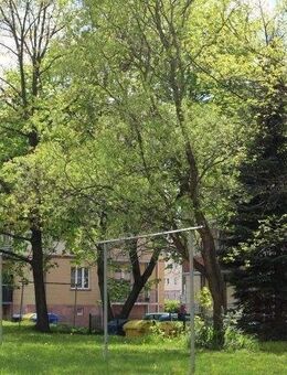 Balkon und Tageslichtbad in Zentrumsnähe - Chemnitz