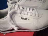 Puma Sneaker 42 ovp neu - Hamburg