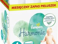 Pampers Harmonie Größe 4 160 Windeln 9kg-14kg - Ingolstadt