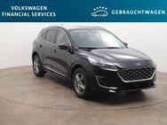 Ford Kuga, 2.0 Vignale AWD EcoBlue 140kW, Jahr 2020 - Braunschweig