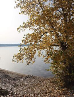 Loft mit eigenen Seezugang 200 Qm *** 85 % Denkmal AFA *** autarke Energie Strom Wärme+++Rundum Terrasse +++ - Borna