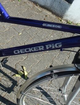 (135) 24 Gang 28 Zoll Gabel u Sattel gefedert - Mainz