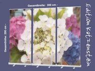 Bestatterbedarf: Roll-Up Display "Hortensienblüten" Dekoration Trauerhalle - bunte Version - Wilhelmshaven