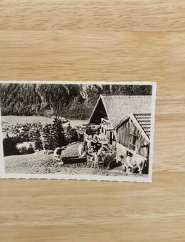 Ansichtskarte-AK-858-Die Zelleralm über Bayrischzell- - Nörvenich