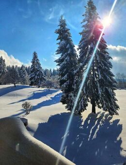Wunderschöne Wohnung im Bayrischen Wald!! Tolle Ausstattung - Sankt Englmar