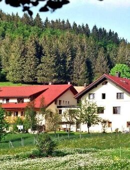 Idyllisches Wohnhaus und Gästehaus - Ibach