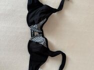 Bruno Banani Bügel BH 70B, schwarz - Affing