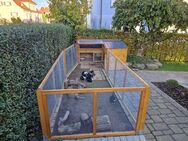 Kaninchen Hasen Hühner Kleintier Freilauf Gehege Stall - Pforzheim