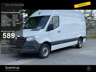 Mercedes Sprinter, 3.5 317 Kasten lang L2H2 To, Jahr 2022 - Kiel