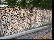 Holz Brennholz Buche Esche gemischt - Donzdorf