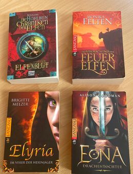 Fantasybücher - Heiligenstadt (Heilbad)