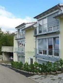 Luxuriöse 1,5-Zi-Neubau-EG-Whg.(Nr.1) mit Terrasse / Stellplatz in romantischer Orts-/Waldrandlage - Tettnang