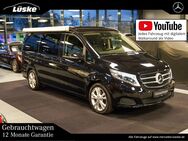 Mercedes V 250, d Marco Polo Sport-Paket, Jahr 2016 - Cloppenburg