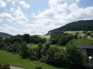 Wohnen, wo andere Urlaub machen - Baiersbronn