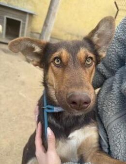 Karesz ist bereit fürs Leben - Köln