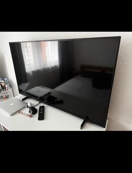 Philips 50 zoll 4K,UHD,LED fernseher SMART TV mit Ambilight - Jessen (Elster)