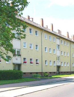 Frisch sanierte 3-Zimmer-Wohnung zu vermieten! - Frankfurt (Main)