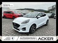 Ford Puma, 1.0 EcoBoost Hybrid ST-Line MY24 PSD, Jahr 2024 - Bad Berleburg