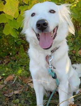 Liebe SNEJANKA = hoher will to please ♥️ - München