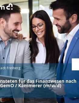Fachbediensteten für das Finanzwesen nach § 62 SächsGemO / Kämmerer (m/w/d) - Freiberg
